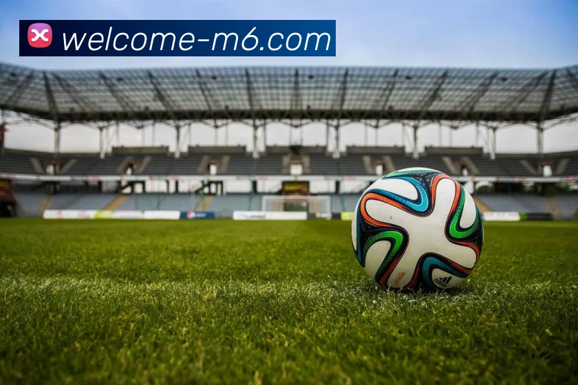 米乐体育发展历程